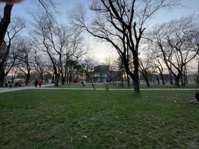 Прикрепленное изображение: photo_2024-03-03_20-01-06.jpg